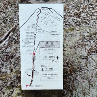 レッツスタート❗️