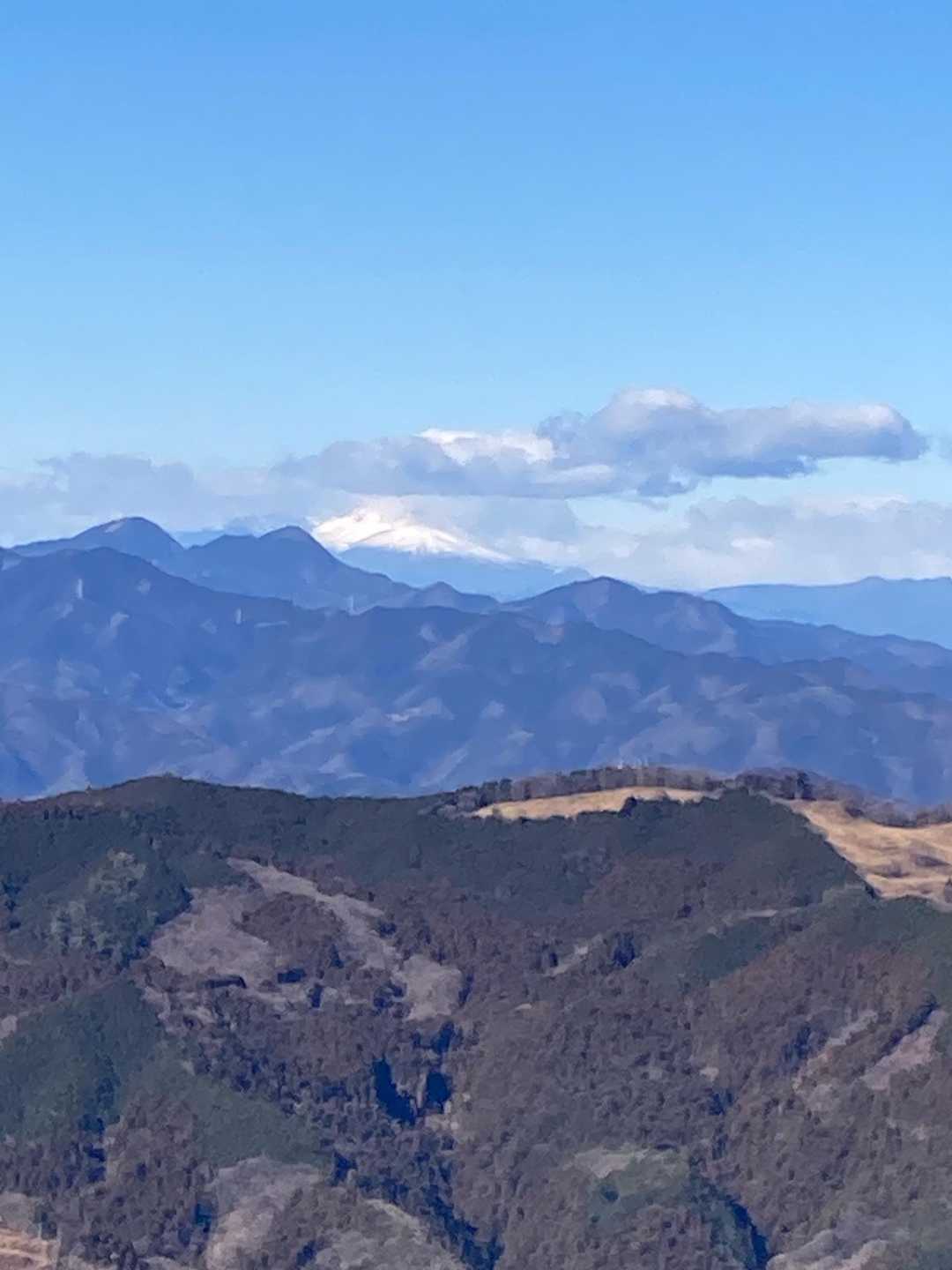 なんて良い眺め😍