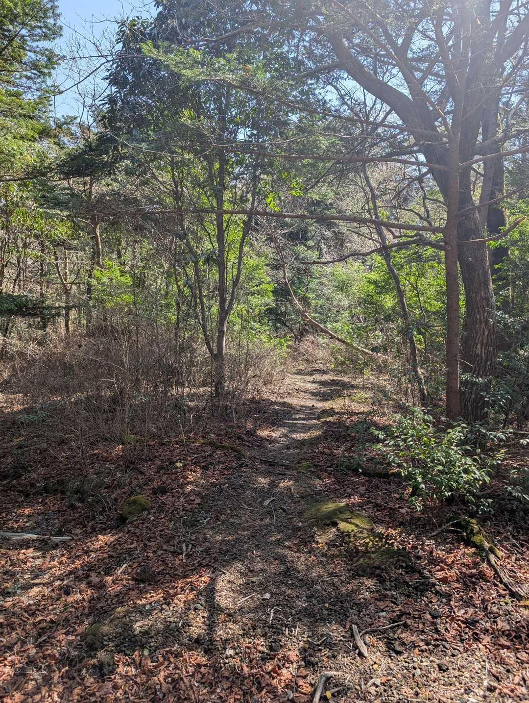 登山口へ