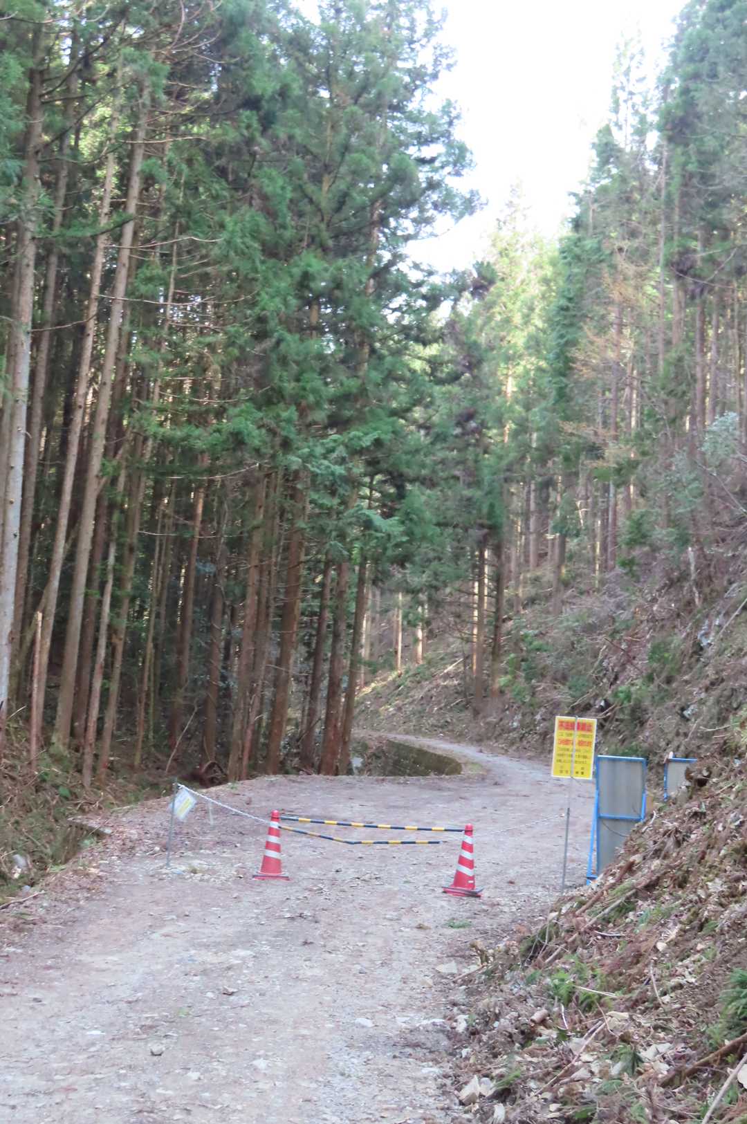 一般車はここまで
駐車場まではまだ長い