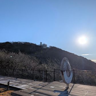 須磨浦山上遊園
日差しを浴びて眩しい
