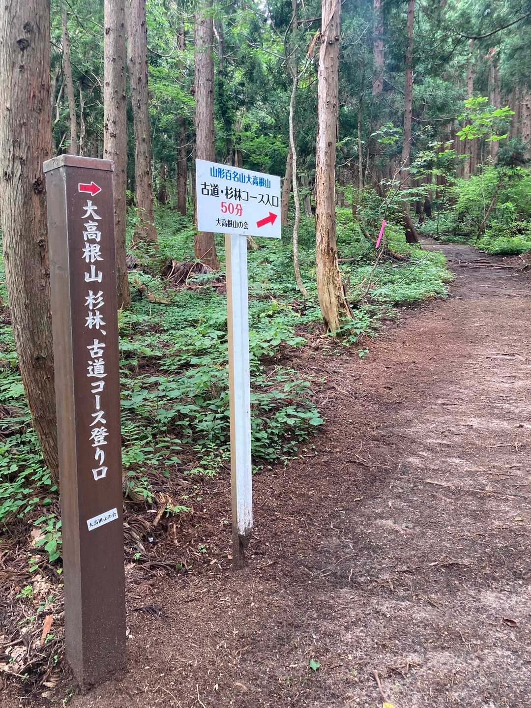 完璧に整備されたコースにも助けられ、コースタイムよりだいぶ短く下山できた。