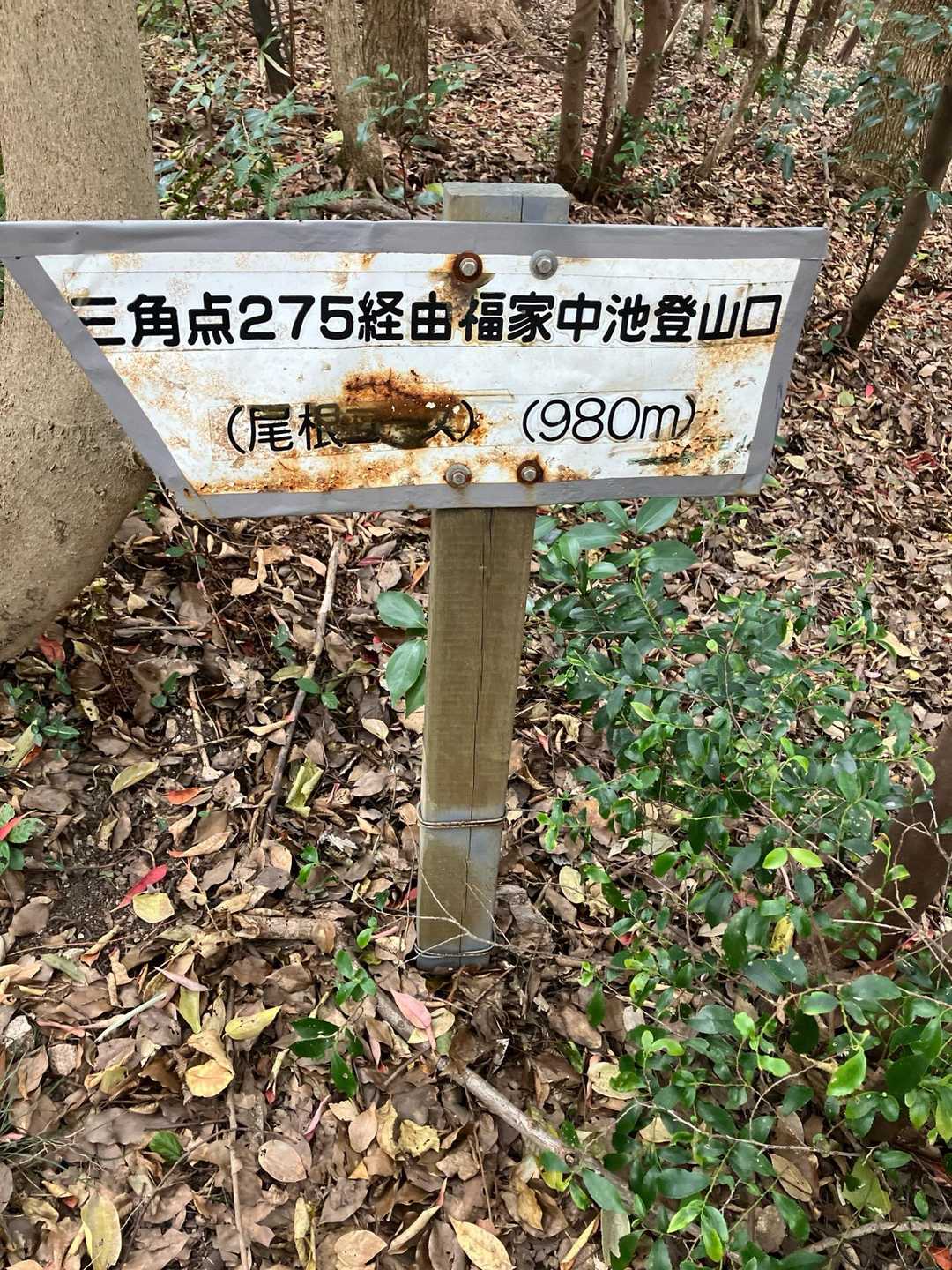 堂山登山道入口-堂山北嶺-六ッ目山-中間変電所登山口 周回コースの写真