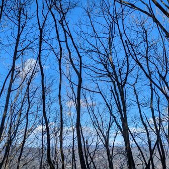 両崖山・仙人ヶ岳・石尊山 冬のよさ