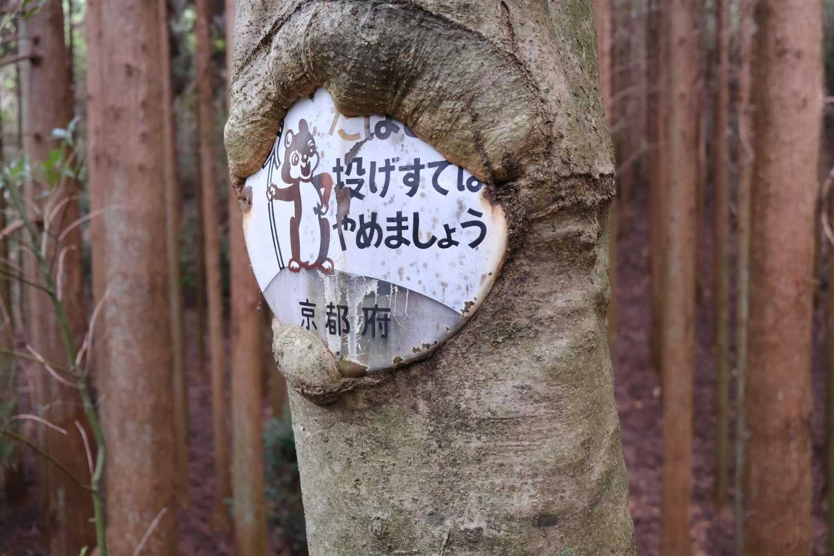 喰われた看板