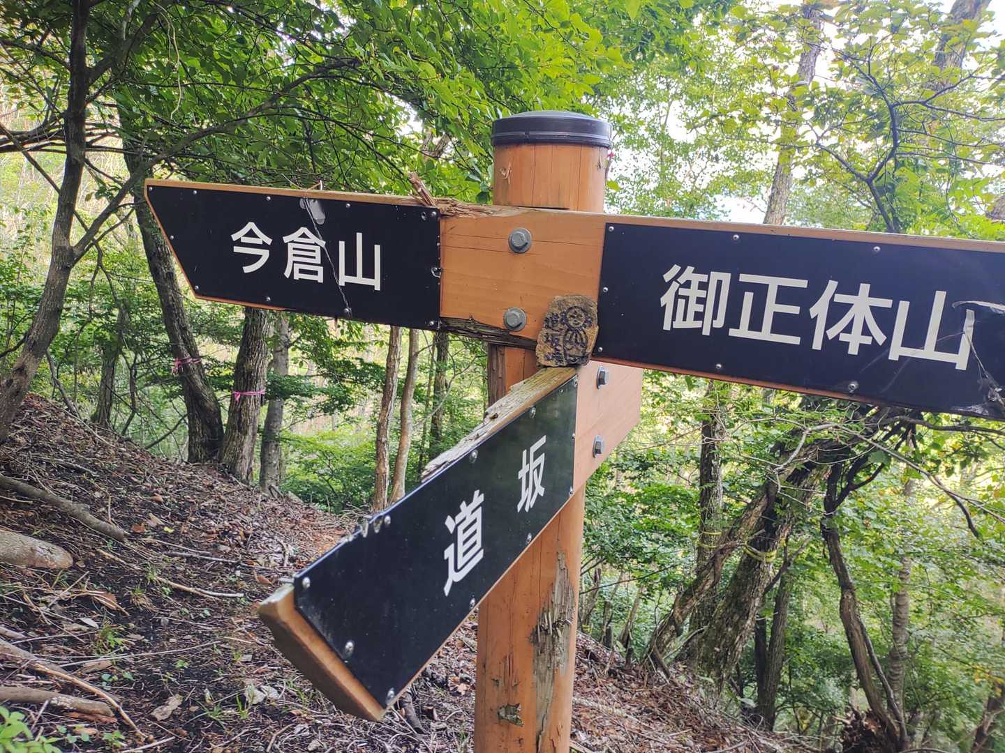 御正体山へも通じているんだね