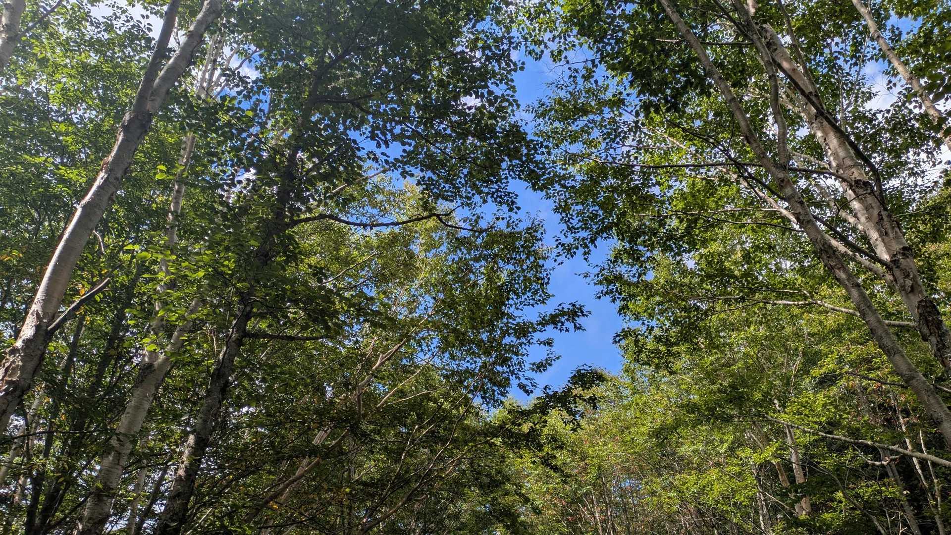 ようやく青空