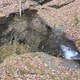 渓流の水量は多くないのに、淵が驚くほど深いのが不思議です。