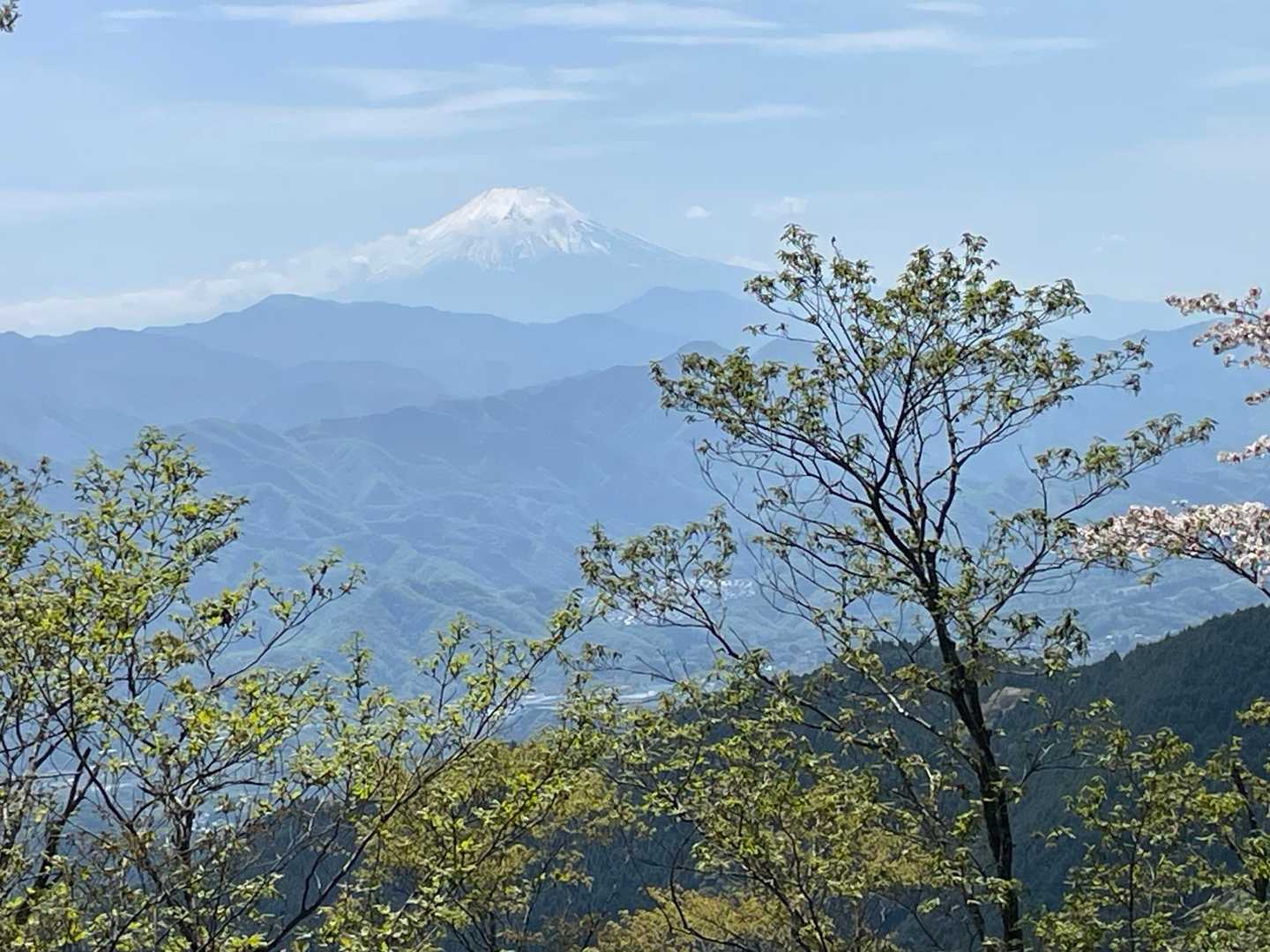 割と午後まで見えてる🗻