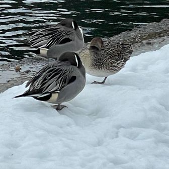 💤
起こさずにそーっと、お邪魔しましたーー🤫