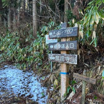 お手柔らかに🙇‍♂️