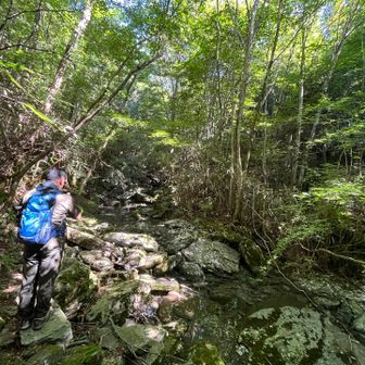 何ヶ所か沢もあるが
水量が少なめ。