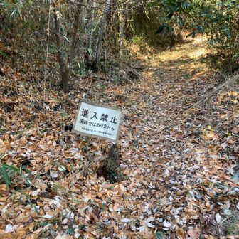 白峯への入り口　進入禁止
最初のピークのつもりだったのに。