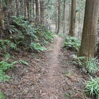 いやー長かったー