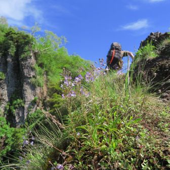 戸隠・キバナノアツモリソウ🌱 / 仙人2号の登山データ | YAMAP / ヤマップ