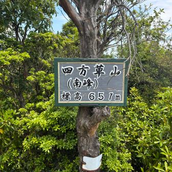 四方草山（南峰）