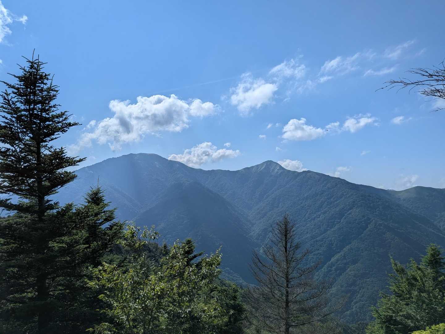 そして、早速お目見え😍
剣山と次郎笈のお姿が✨
美しいゎ〜！青空で良かった