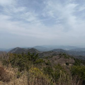 熊、、でなかった

本州の低山は、やっぱりちょっとこわい