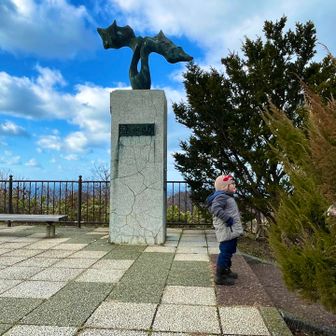 えっへん、ぼく登りきったもんね😤