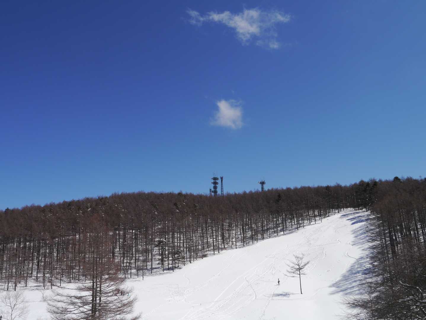 昨日降った雪でいい感じ