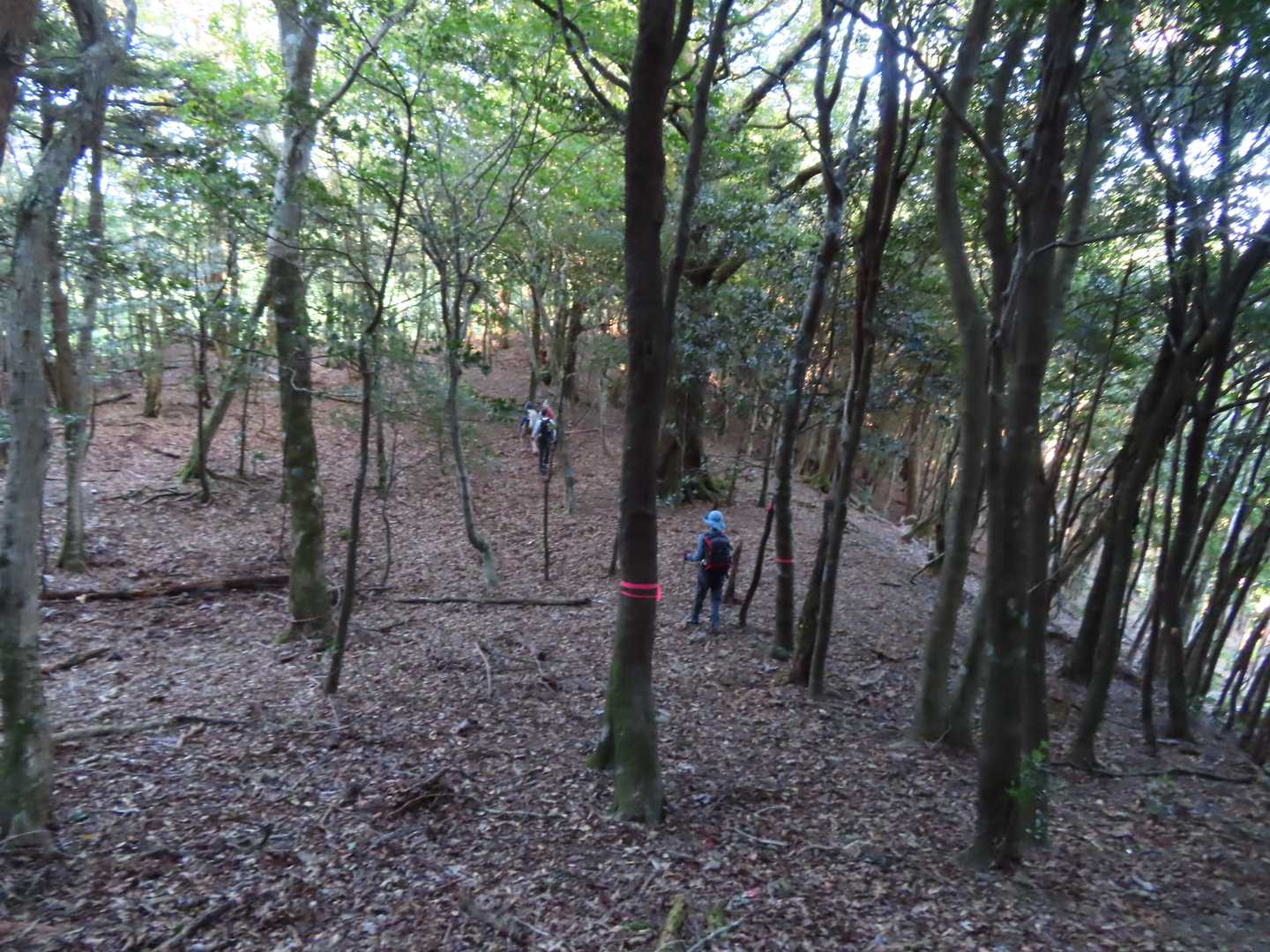 下山間近のこの広い場所でまた間違いかける
ここで右手下方向に行くのが正解でした