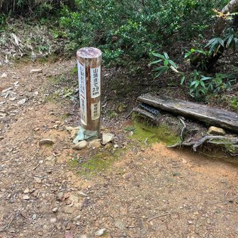 水場入り口