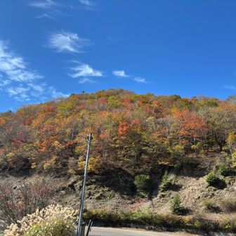 山の家の周囲も紅葉が
見頃！