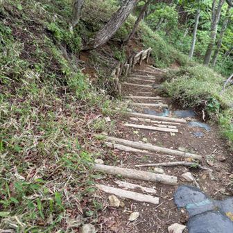 整備された階段です