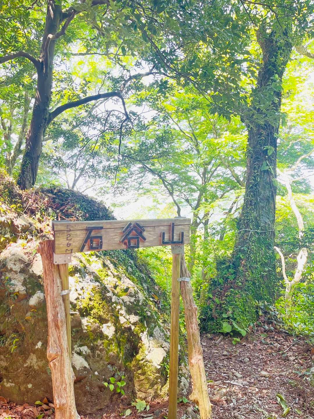 石谷山（びく石） / えーきさんの城山・石谷山（びく石）の活動データ | YAMAP / ヤマップ