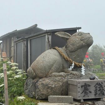 今年は卯年🐇にお利益がある年周りだそう。
よっさんナイス👍