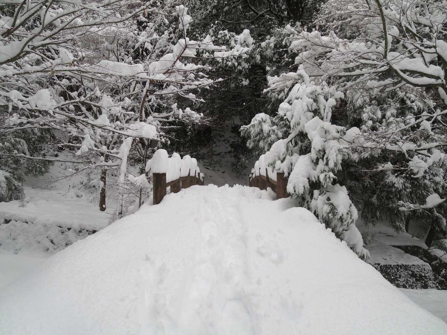 正楽寺山 往復コースの写真