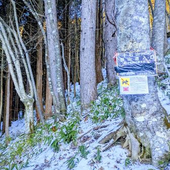 十石山登山口
この直ぐ側路肩に数台停めれる🅿️アリ
もう重いザックの上げ下ろしをしたくなかったのでここからアイゼン装着👣
長い樹林帯のはじまり〜
直ぐに汗だくです💦