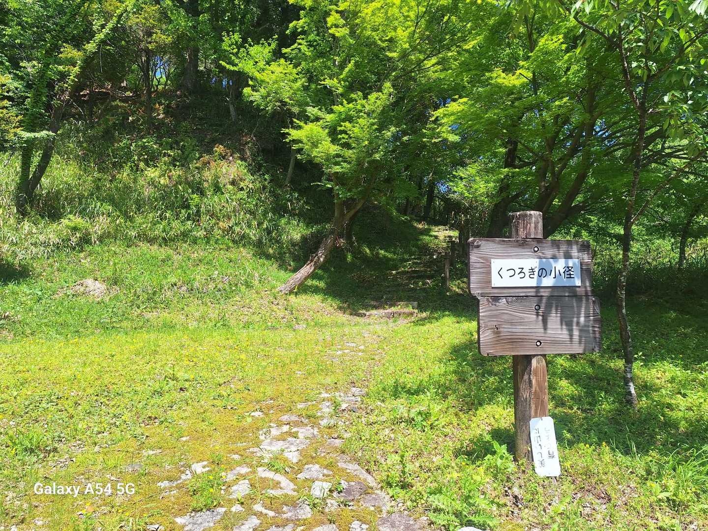 城山公園
くつろぎの小路から🥾