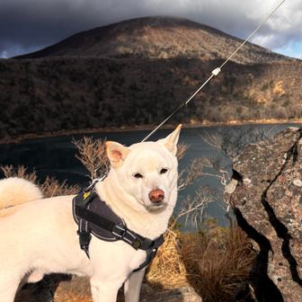 🐶と大浪池と韓国岳。