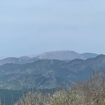 伊吹山(※実は霊仙山でした)

じじい、山容から「お！霊仙が見えるわ( ｰ`дｰ´)ｷﾘｯ」

教官「AR山ナビだと伊吹山って出てるよ👀」

ソロのハイカー「アレは伊吹山ですね(・∀・)ﾆﾔﾆﾔ」

教官　トトロ「・・・(｡ŏ∀ŏ)ﾌﾟｰｸｽｸｽ」

じじい、赤っ恥🤣顔真っ赤🔴😂
きーーーーーっヾ(*｀Д´*

※知ったかぶりは危険⚠️です笑笑

【追記】フォロワーさんの情報で、写真のお山は霊仙で、奥に重なって伊吹山があるそうです
カシミールで確認してくれました😭
なので、伊吹山ではなく霊仙山です😄
I○hiさん情報ありがとうごせんしたー🙏
