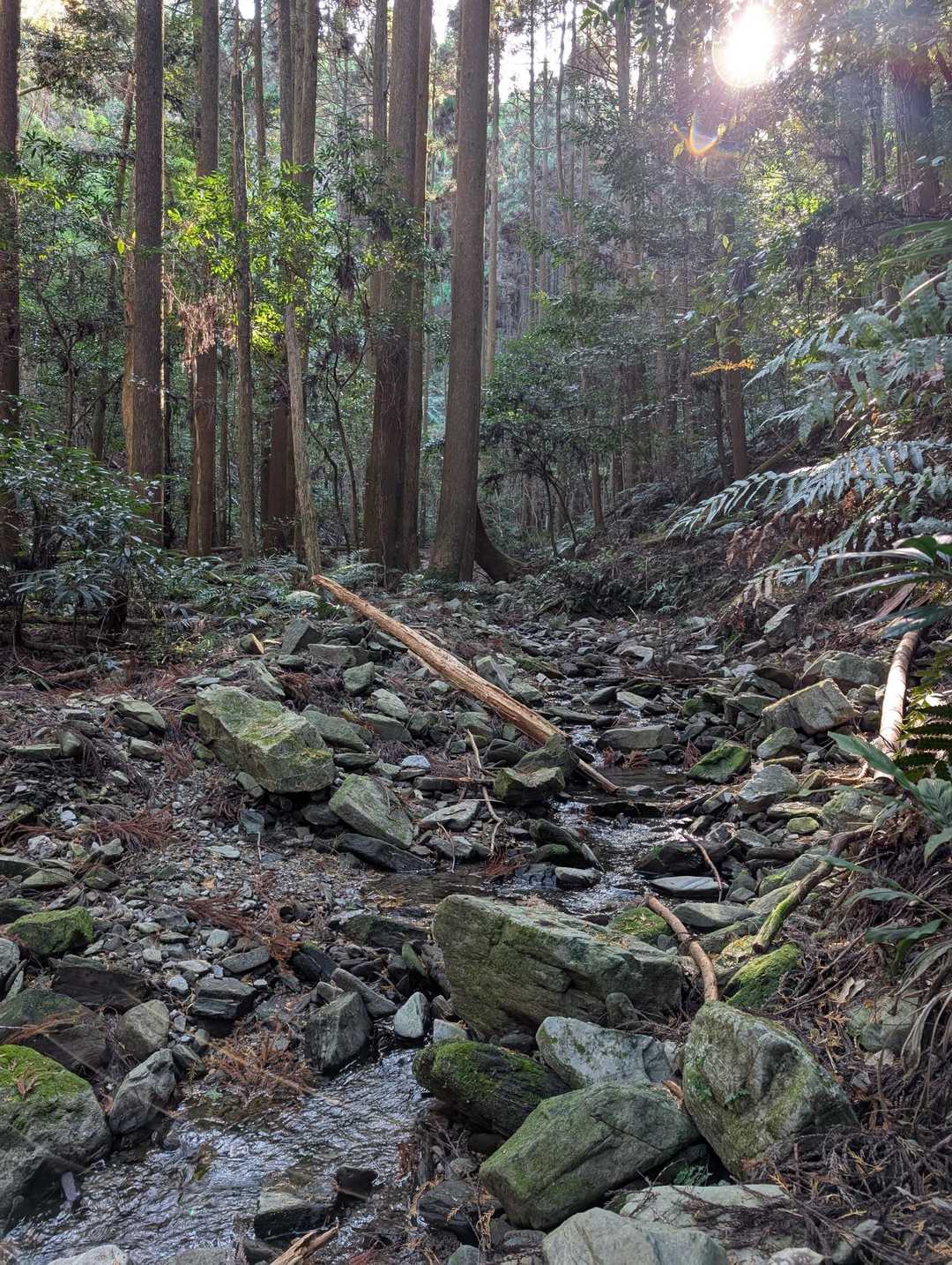 明星山 周回コースの写真