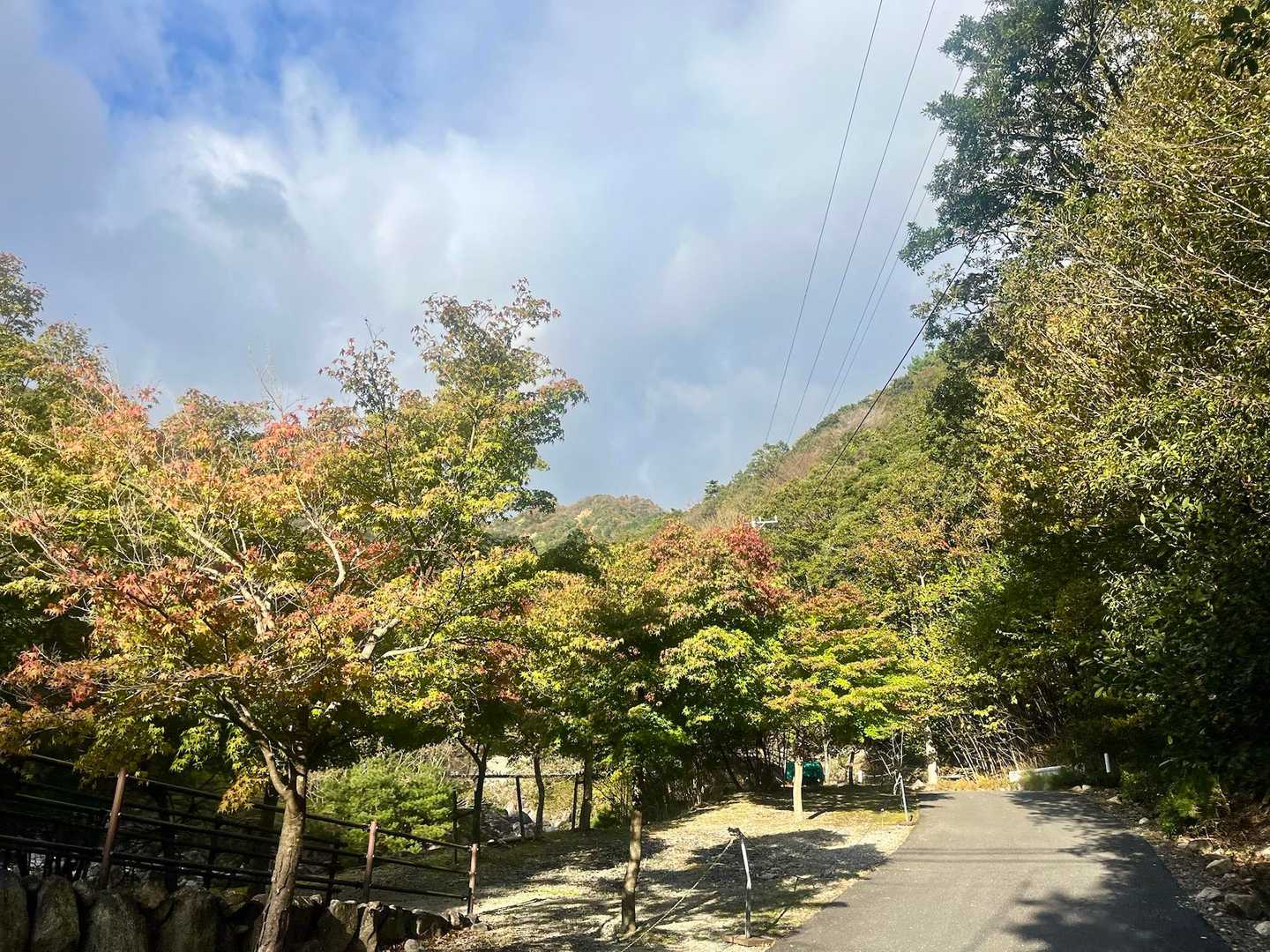 朝明キャンプ場にあるここの紅葉はいつも見事だけど、まだまだこんな緑色が多い