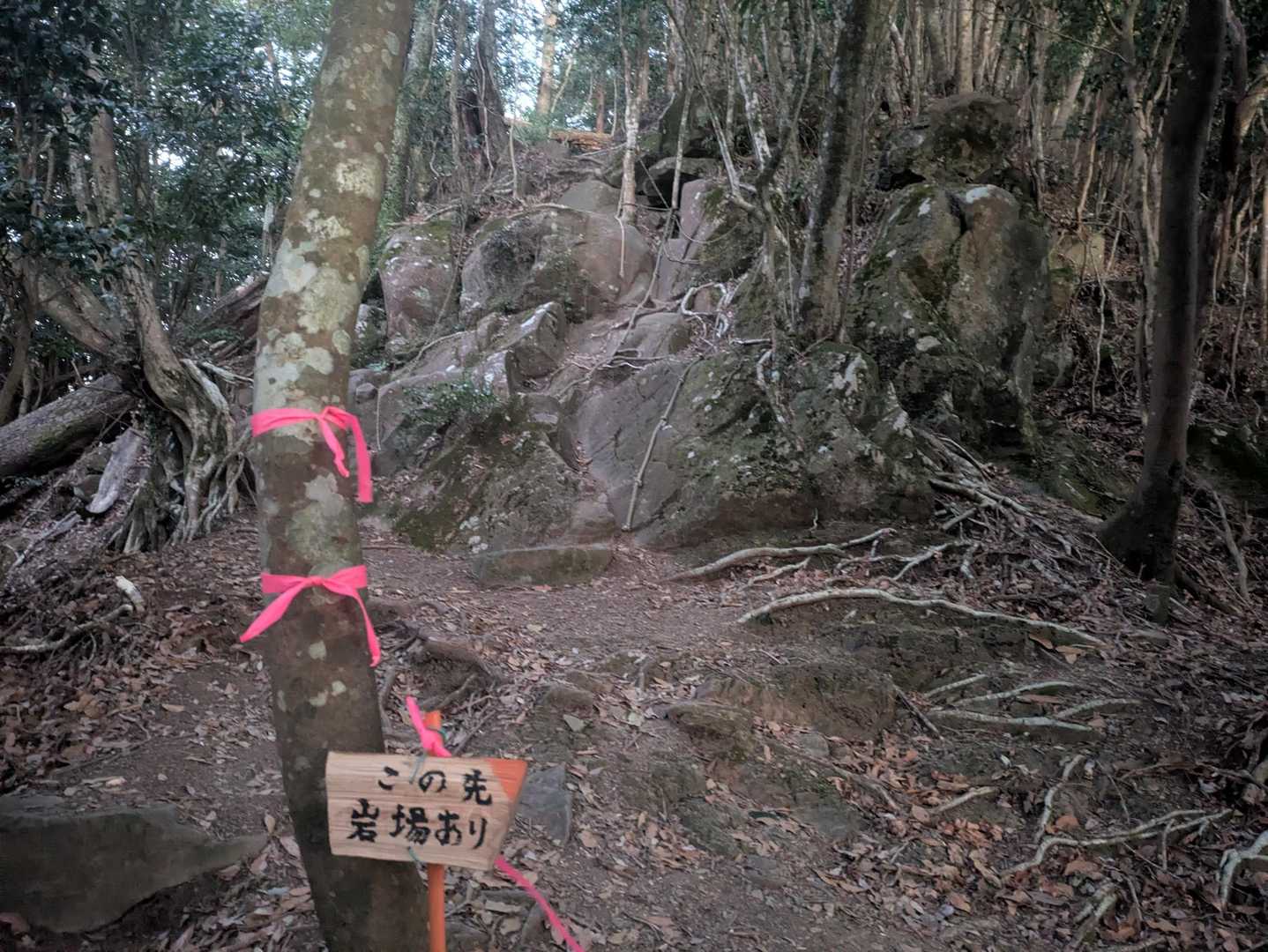 釈迦ヶ岳登山口-釋迦ヶ岳 往復コースの写真