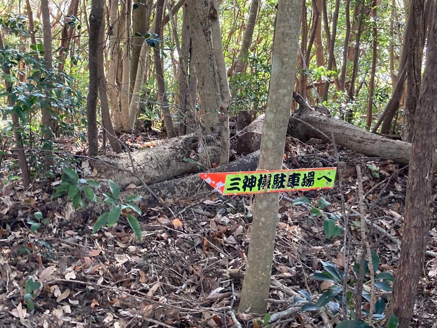 こちらにも登山道