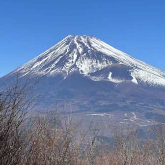 でっかい富士山が見れました