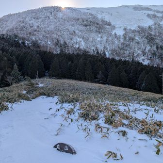 丸山で笹ケ峰からの御来光
霧氷は少な目です