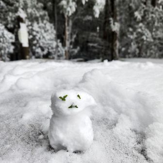 カワイイ子居た