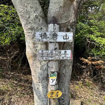 徳倉山登頂⛰️