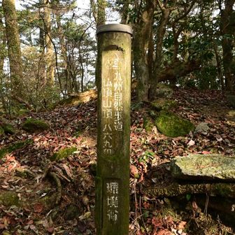 山頂からの眺望はなし