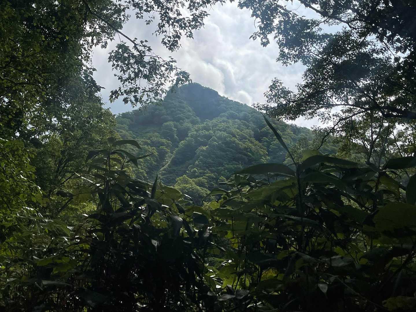 ここから見たらすごい尖り