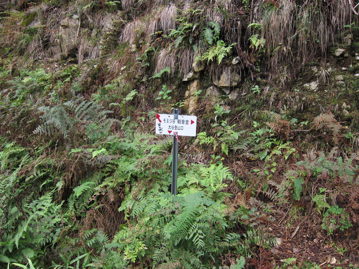 大谷登山口と皆木登山口は、同じなのでしょうか？

帰りに、なんか、峠登山口に降りるのか、大谷登山口に降りるのか、わからなくなりました❓

適当に降りましたけど🤣