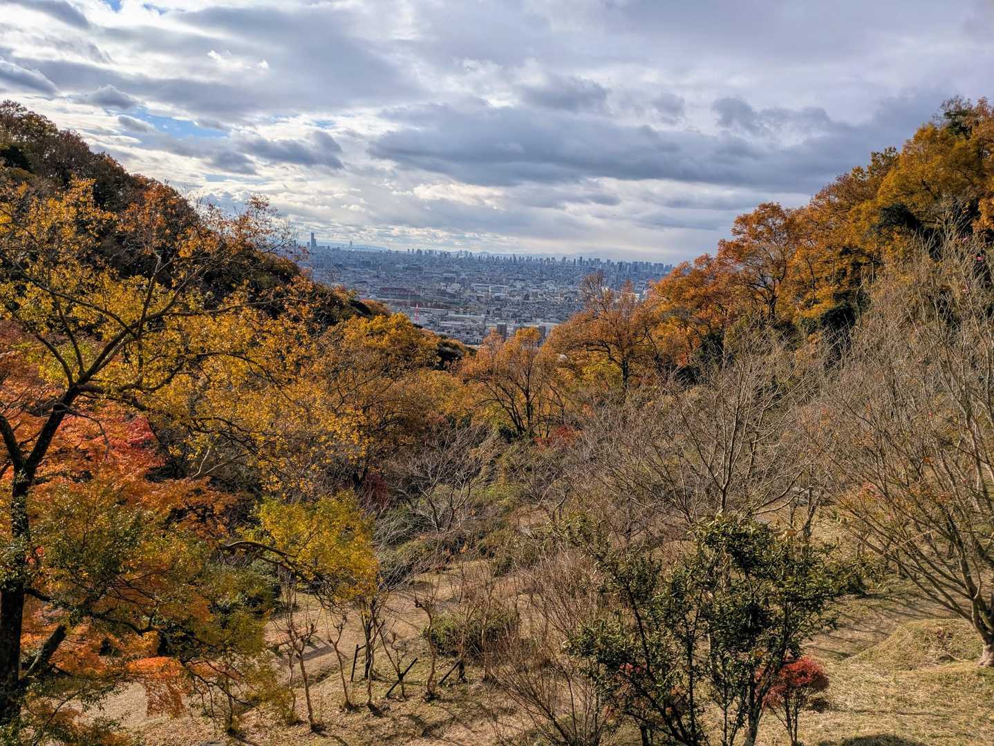 名残り惜しい
