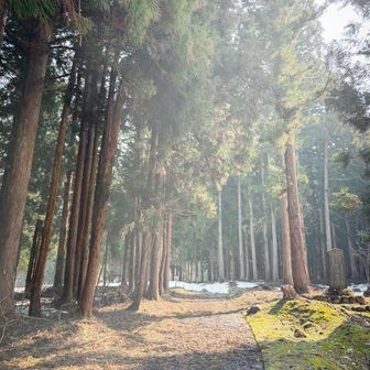 何を血迷ったのか城坂から向かいます_(┐「ε:)_