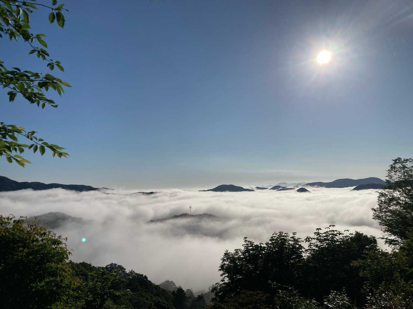 本当は、この休みは、1人で久住の平治岳に今期最後のミヤマキリシマを観に行きたかった。