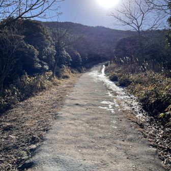 雪はほとんどなかったです。